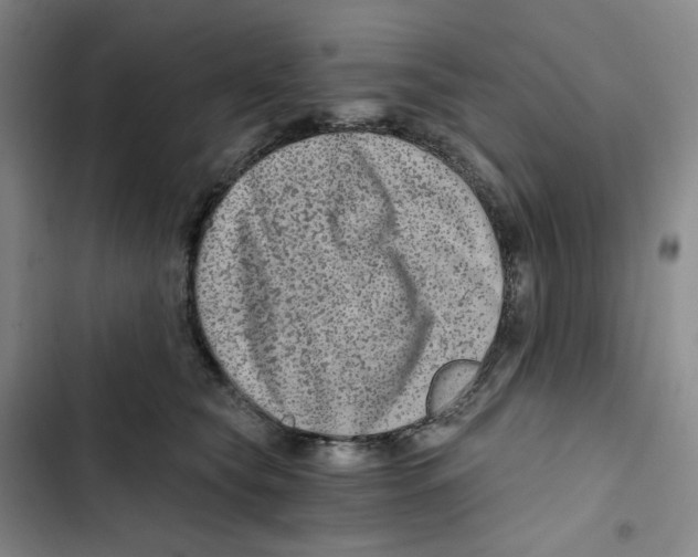 X0000102820565200809151018
