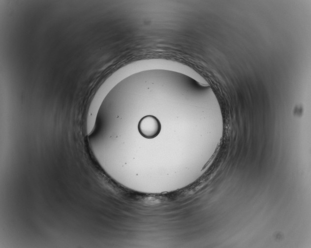 X0000102820566200809151018