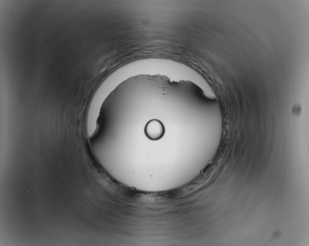 X0000102820568200809151018