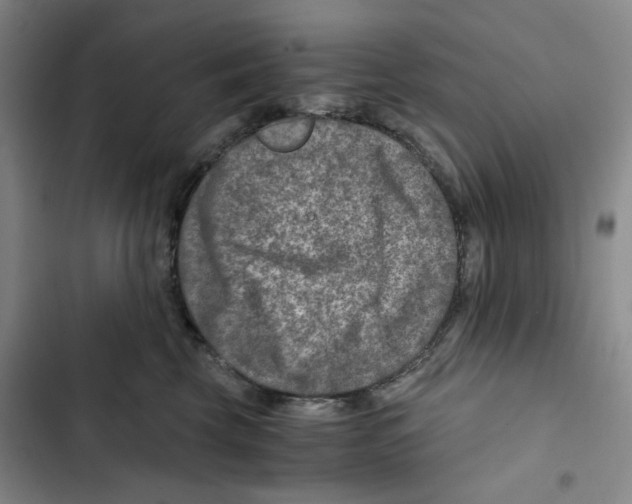 X0000102820569200809151018