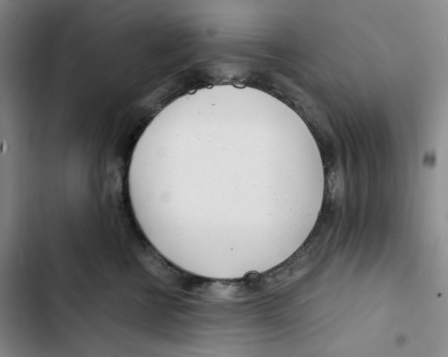 X0000102820570200809151018