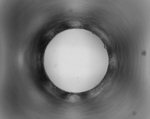 X0000102820572200809151018