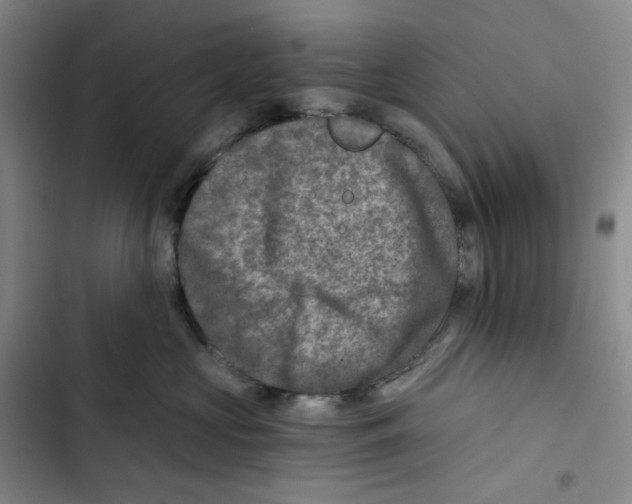 X0000102820573200809151018
