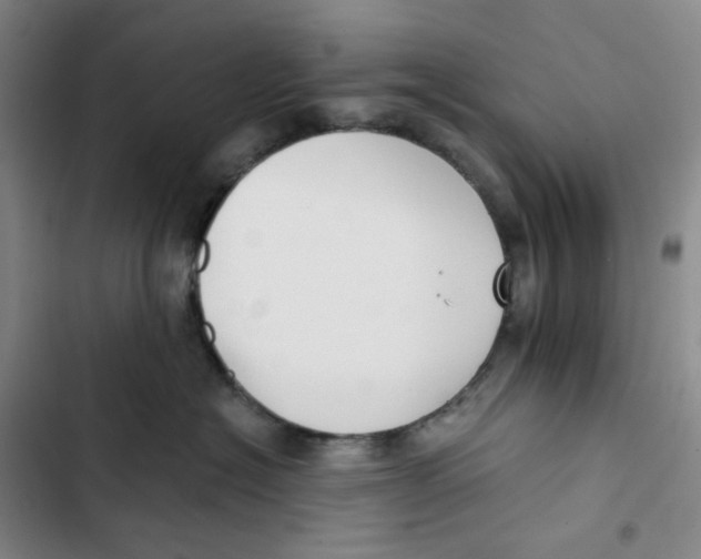 X0000102820574200809151018
