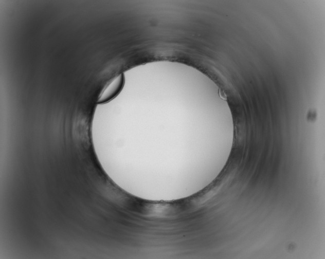 X0000102820575200809151018