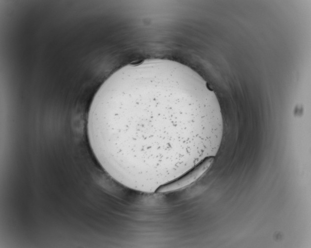X0000102820576200809151018
