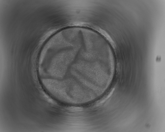X0000102820577200809151017