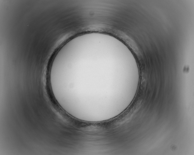 X0000102820578200809151017