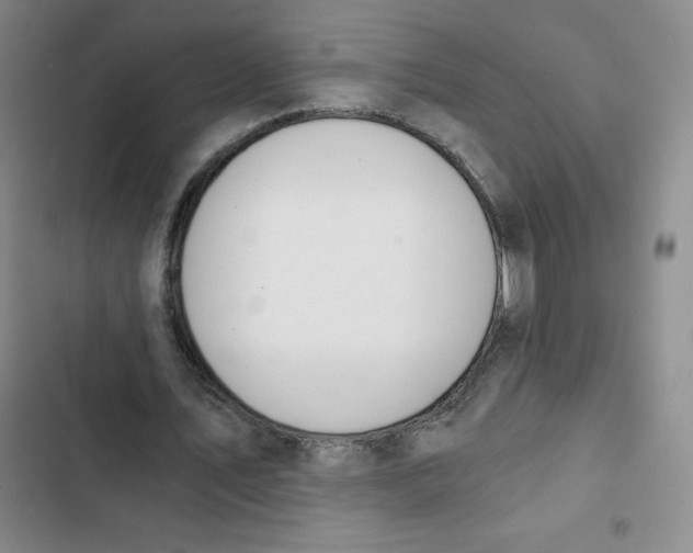 X0000102820579200809151017