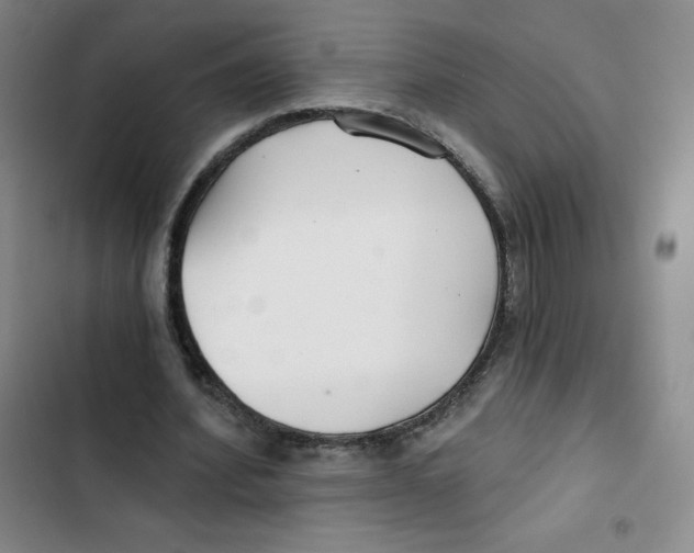 X0000102820580200809151017