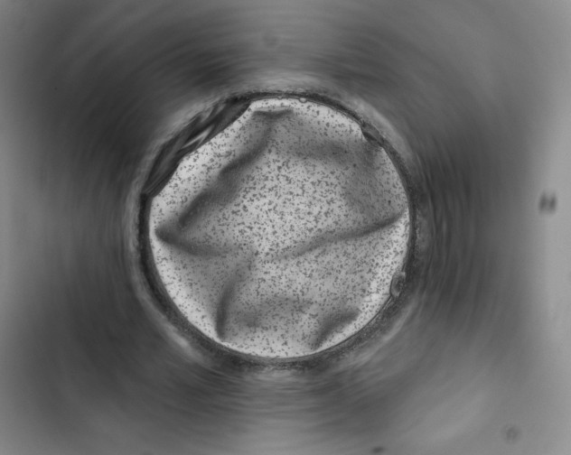 X0000102820581200809151017