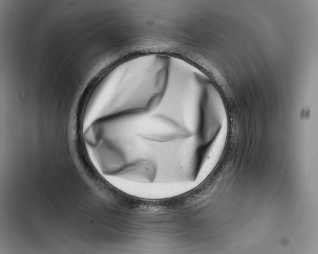 X0000102820582200809151017