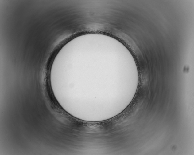 X0000102820583200809151017
