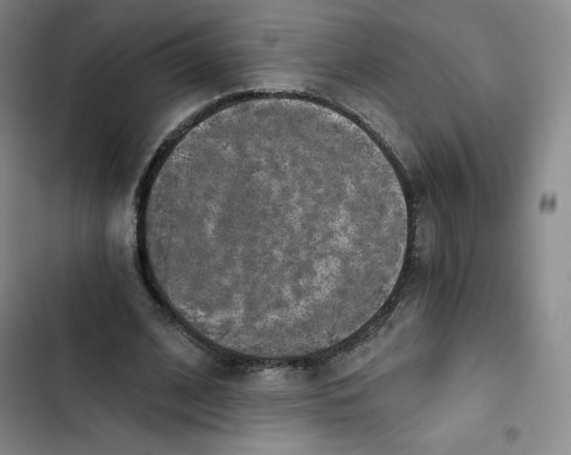 X0000102820584200809151017