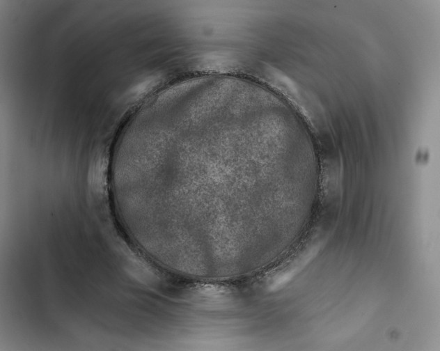 X0000102820585200809151017