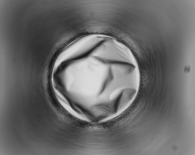 X0000102820586200809151017