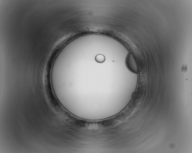 X0000102820587200809151017