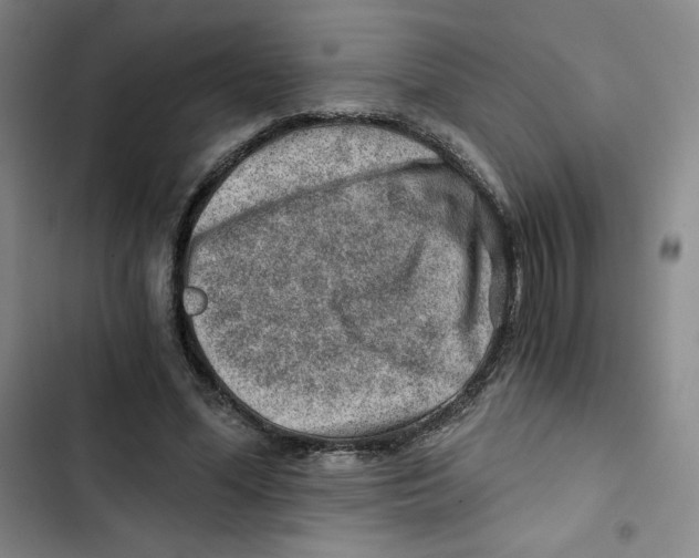 X0000102820588200809151017