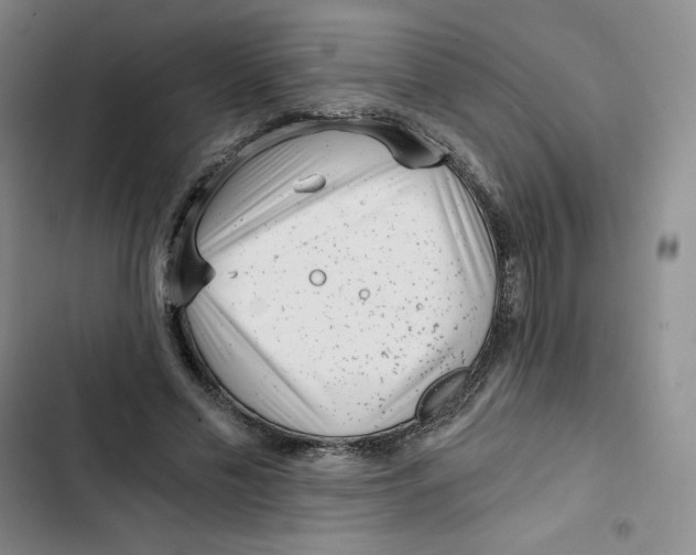 X0000102820589200809151017