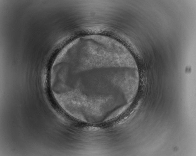 X0000102820590200809151017