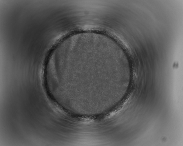 X0000102820592200809151017