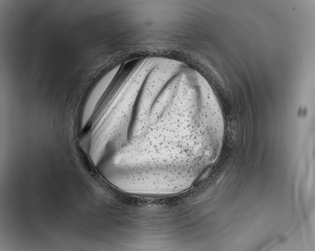 X0000102820593200809151017