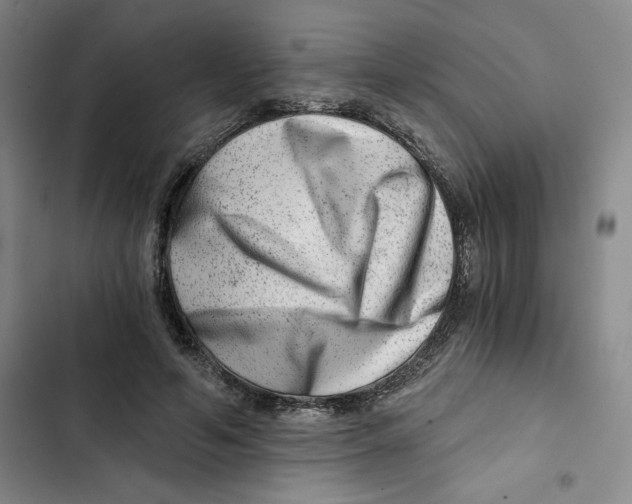 X0000102820594200809151017