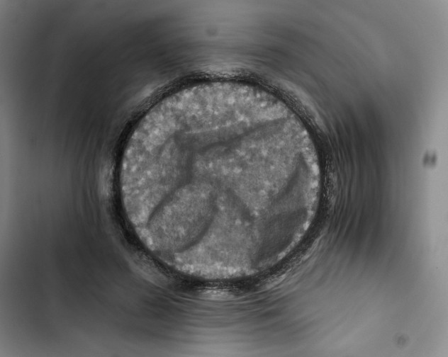X0000102820596200809151017