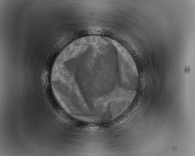 X0000102820598200809151017