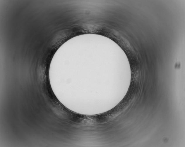 X0000102820599200809151017