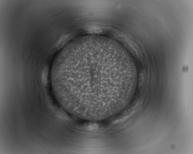 X0000102820600200809151017