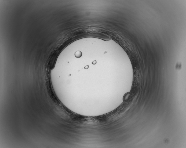 X0000102820601200809151017