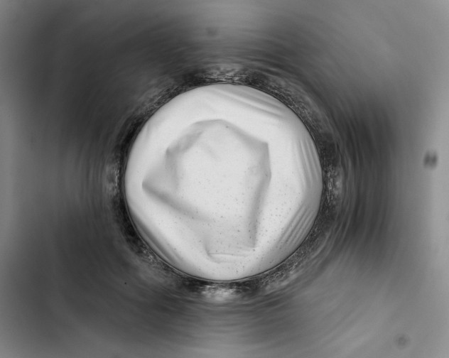 X0000102820602200809151017