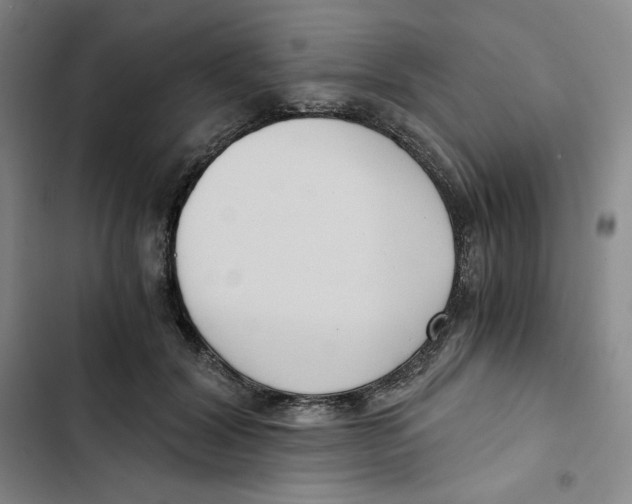 X0000102820604200809151017