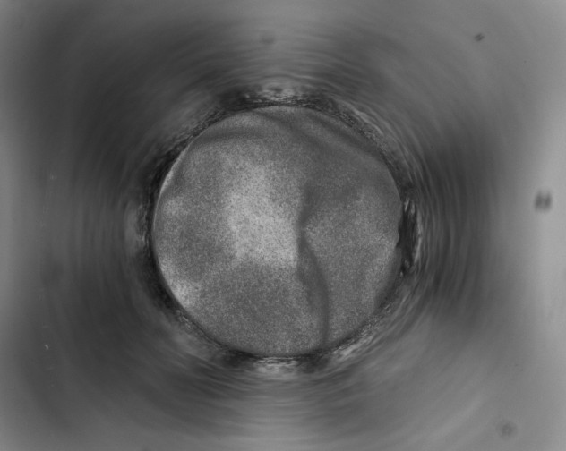 X0000102820606200809151017