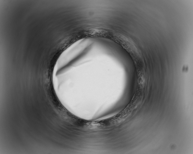 X0000102820607200809151017
