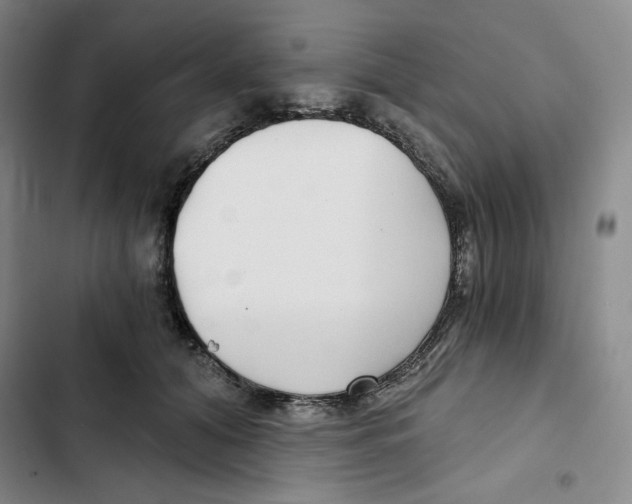 X0000102820608200809151017