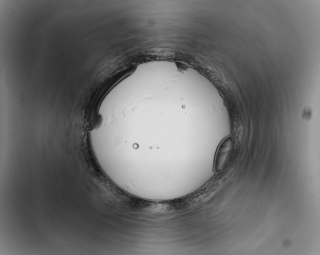 X0000102820609200809151017
