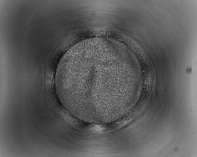X0000102820610200809151017