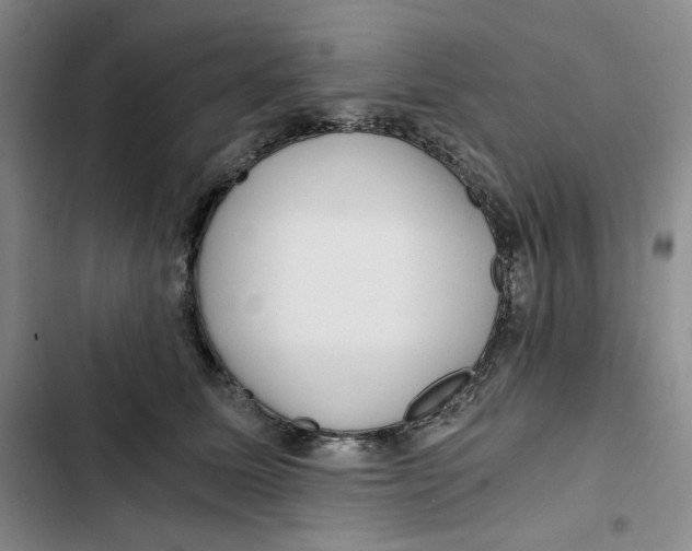 X0000102820611200809151017