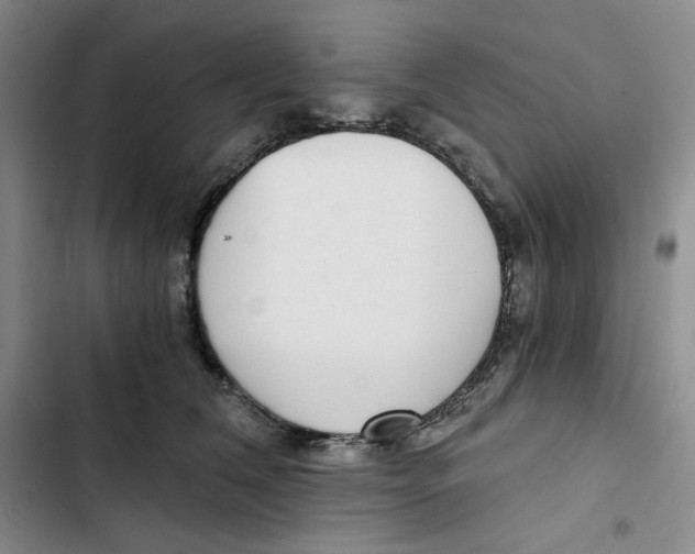 X0000102820612200809151017