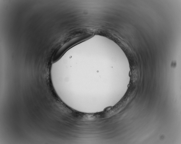 X0000102820613200809151017