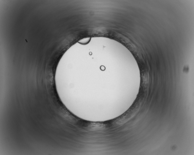 X0000102820617200809151017
