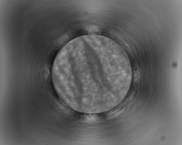 X0000102820618200809151017