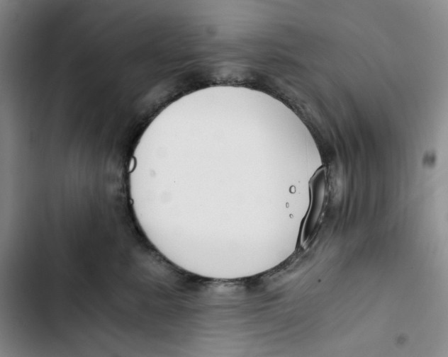 X0000102820619200809151017