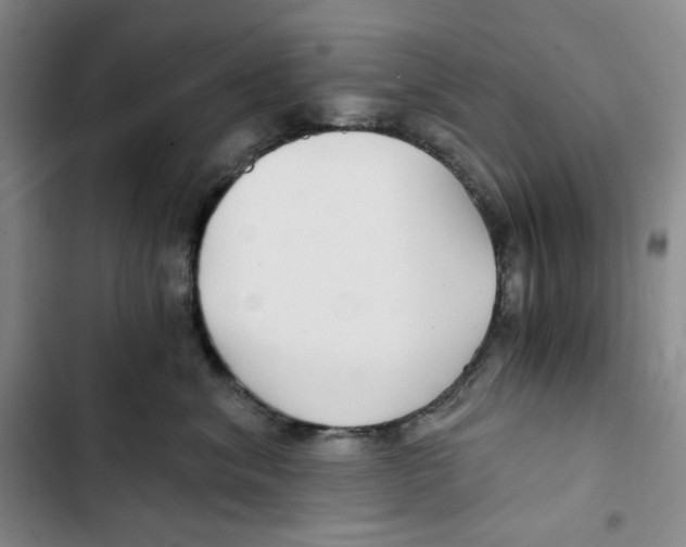 X0000102820620200809151017