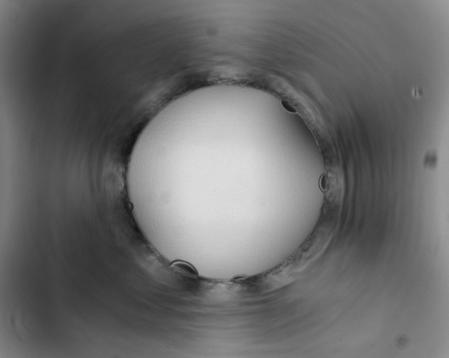 X0000102820621200809151017
