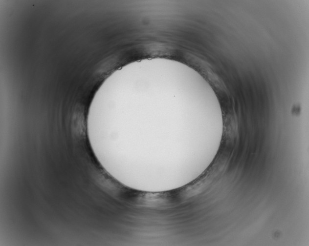 X0000102820622200809151017