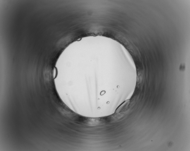 X0000102820623200809151017