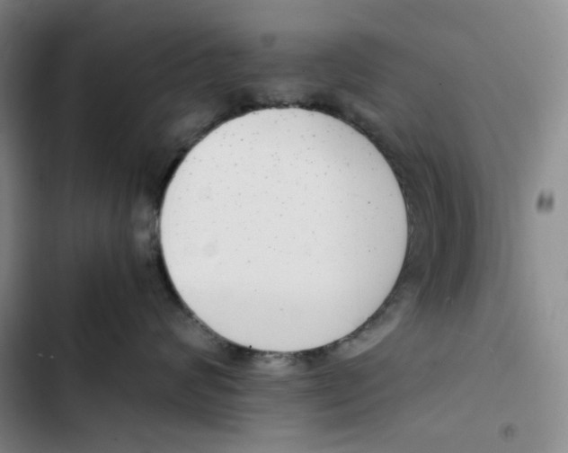 X0000102820624200809151016